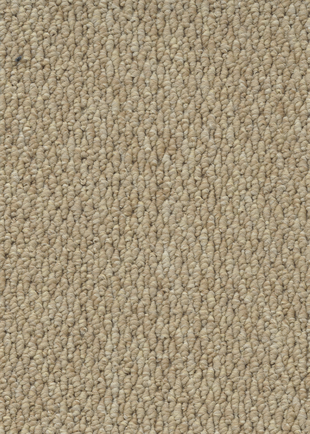 Ковровое покрытие "Bonkeel" Skye 50 (ширина 4м) — купить в Обнинске