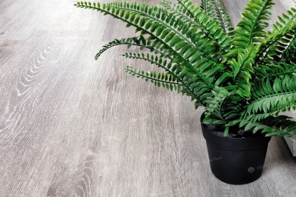 Виниловый ламинат "Alpine Floor" Classic Light MC Ясень Серый (1220*183*3,5 мм) — купить в Обнинске