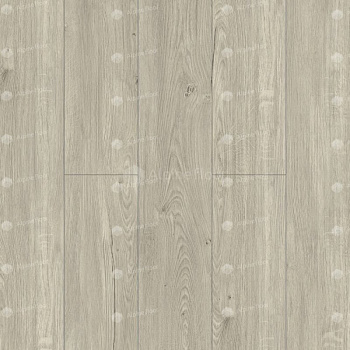 SPC Ламинат "Alpine Floor" Секвойя Снежная (1220*183*4 мм) — фото и характеристики